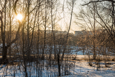 Similar image 11046800