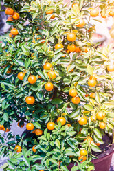 Similar image 10995280