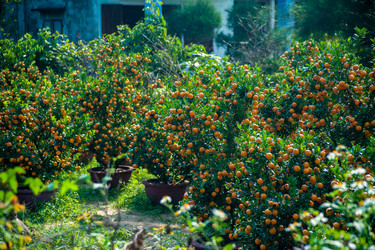 Similar image 10995325