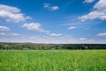 Similar image 10995330