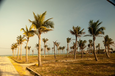 Similar image 10995417