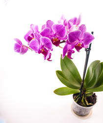 Similar image 11045669