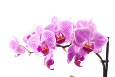 Similar image 11046222