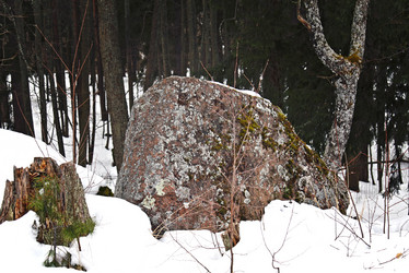 Similar image 10959636