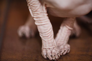 Similar image 10993049