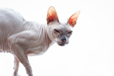 Similar image 10993051