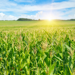 Similar image 10959665