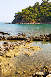 Similar image 10961291