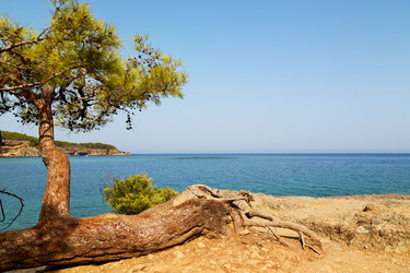 Similar image 10961293