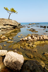 Similar image 10961294