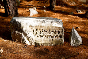 Similar image 10961295