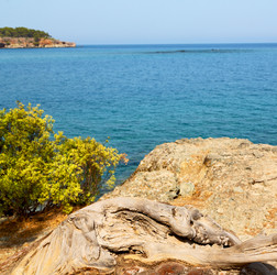 Similar image 10961266