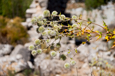 Similar image 10961269