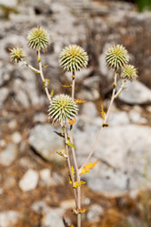 Similar image 10961270