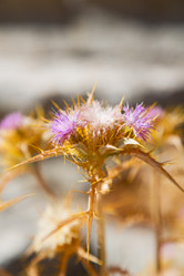 Similar image 10961271