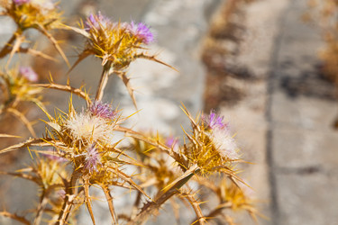 Similar image 10961272