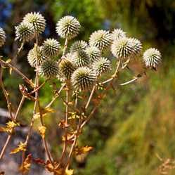 Similar image 10961278