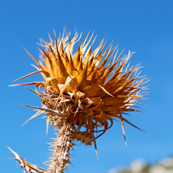 Similar image 10961279