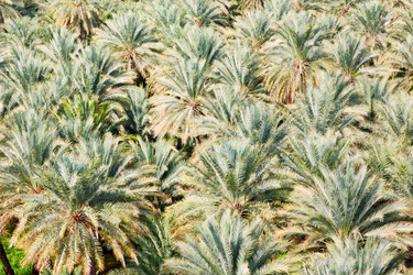 Similar image 10961218