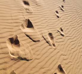 Similar image 10961308