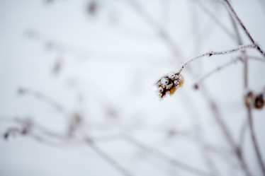 Similar image 11174645