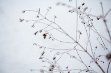 Similar image 11174723