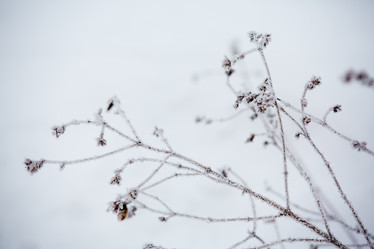 Similar image 11174724