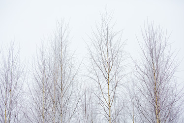 Similar image 11174726