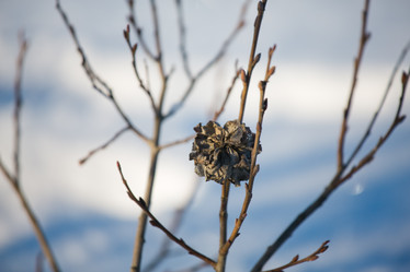 Similar image 11174728