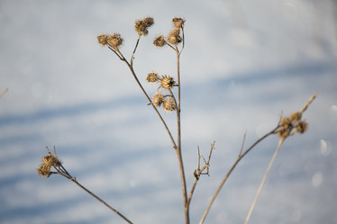 Similar image 11174730