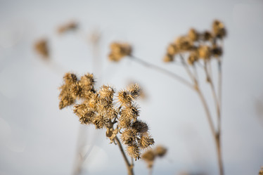 Similar image 11174734