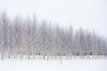 Similar image 11174736