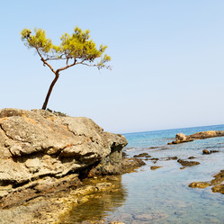 Similar image 10961581