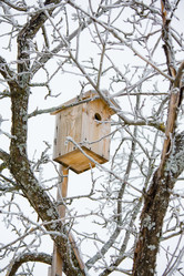 Similar image 11171490