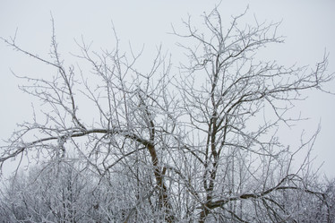 Similar image 11171494