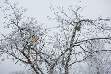 Similar image 11171497