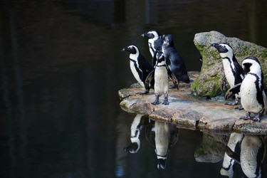 Similar image 10993032