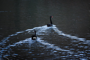 Similar image 10993037