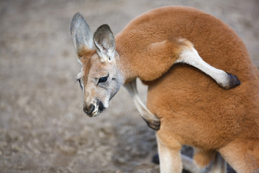 Similar image 10993040