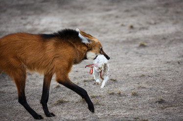 Similar image 10993044