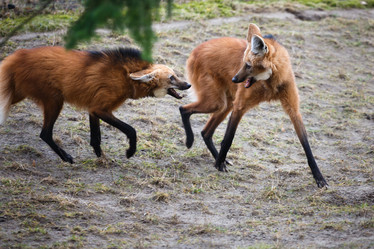 Similar image 10993045