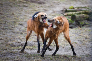 Similar image 10993047