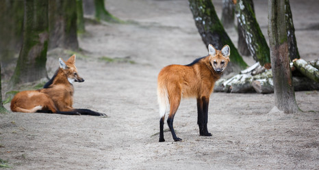 Similar image 10993052