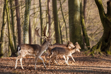 Similar image 10993068