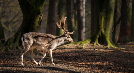 Similar image 10993069