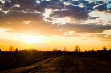 Similar image 11172765