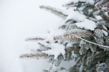 Similar image 11171928