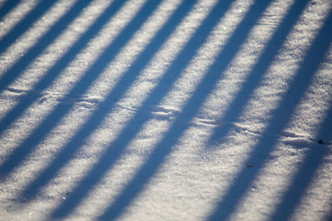 Similar image 11172288