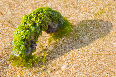 Similar image 11174344