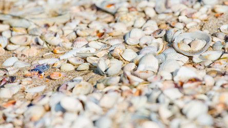 Similar image 11174541